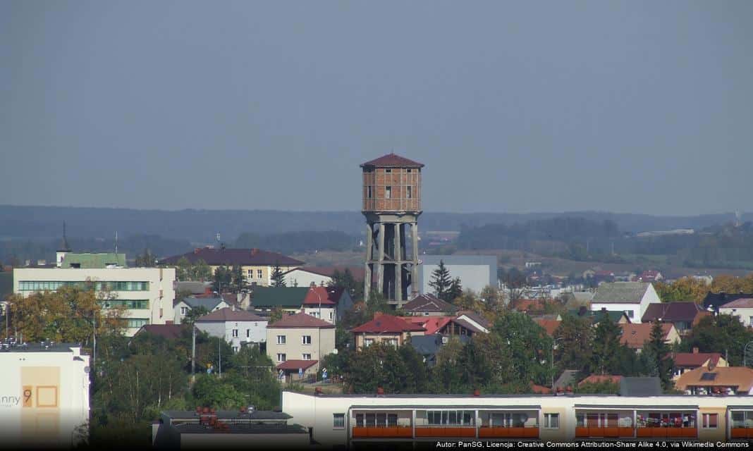 Ważne informacje dotyczące rzekomego pomoru drobiu i grypy ptaków w Łomży