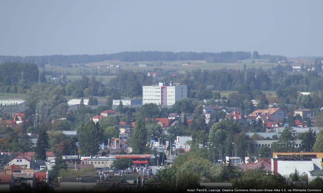 Sezon grzybobrania w Łomży: Zbiór smakowitych darów natury!